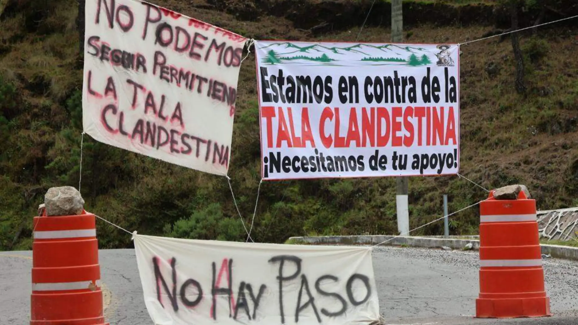 tala clandestina Isidro Fabela-Otzolotepec CORTESIA